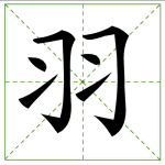 172.yǔ 羽